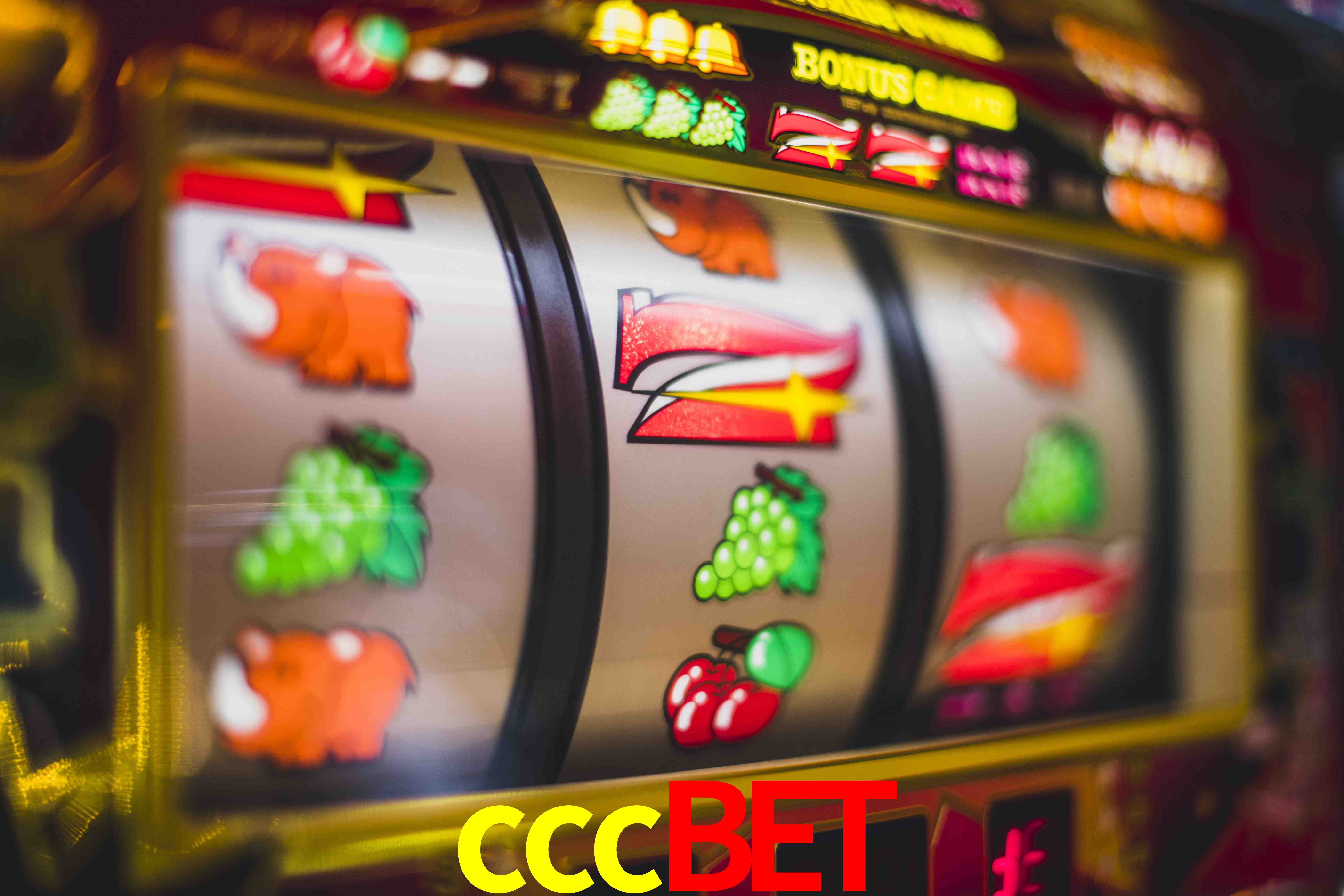 Basketball Betting cccbet